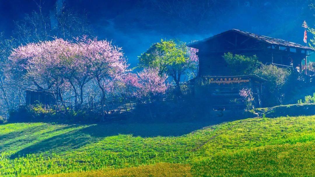沪江开心词场